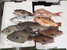 3鮮魚セット228