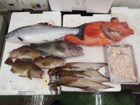 7鮮魚セット228