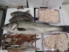 8鮮魚セット228