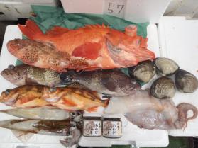 15鮮魚セット228