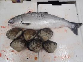 14鮮魚セット228