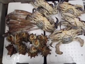 5鮮魚セット430