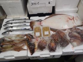 4鮮魚セット430