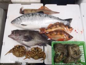 3鮮魚セット430