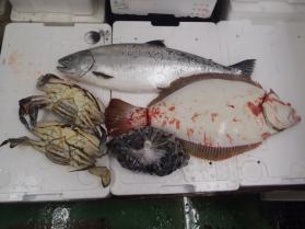 12鮮魚セット430