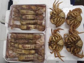 21鮮魚セット430
