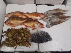 19鮮魚セット430
