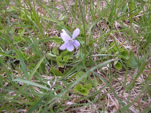 120523-4.jpg