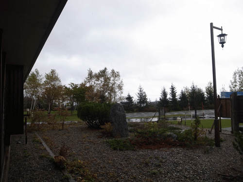 121029soto.gif