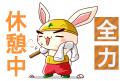 全力ウサギのコピー