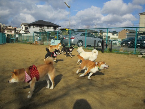20140126-31.jpg