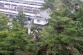 IMG_4650.jpg