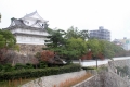 IMG_4686.jpg