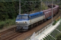 IMG_4746.jpg
