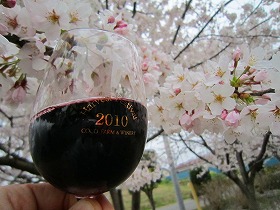 桜の蜜です!