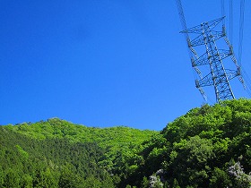 新緑にブルースカイ
