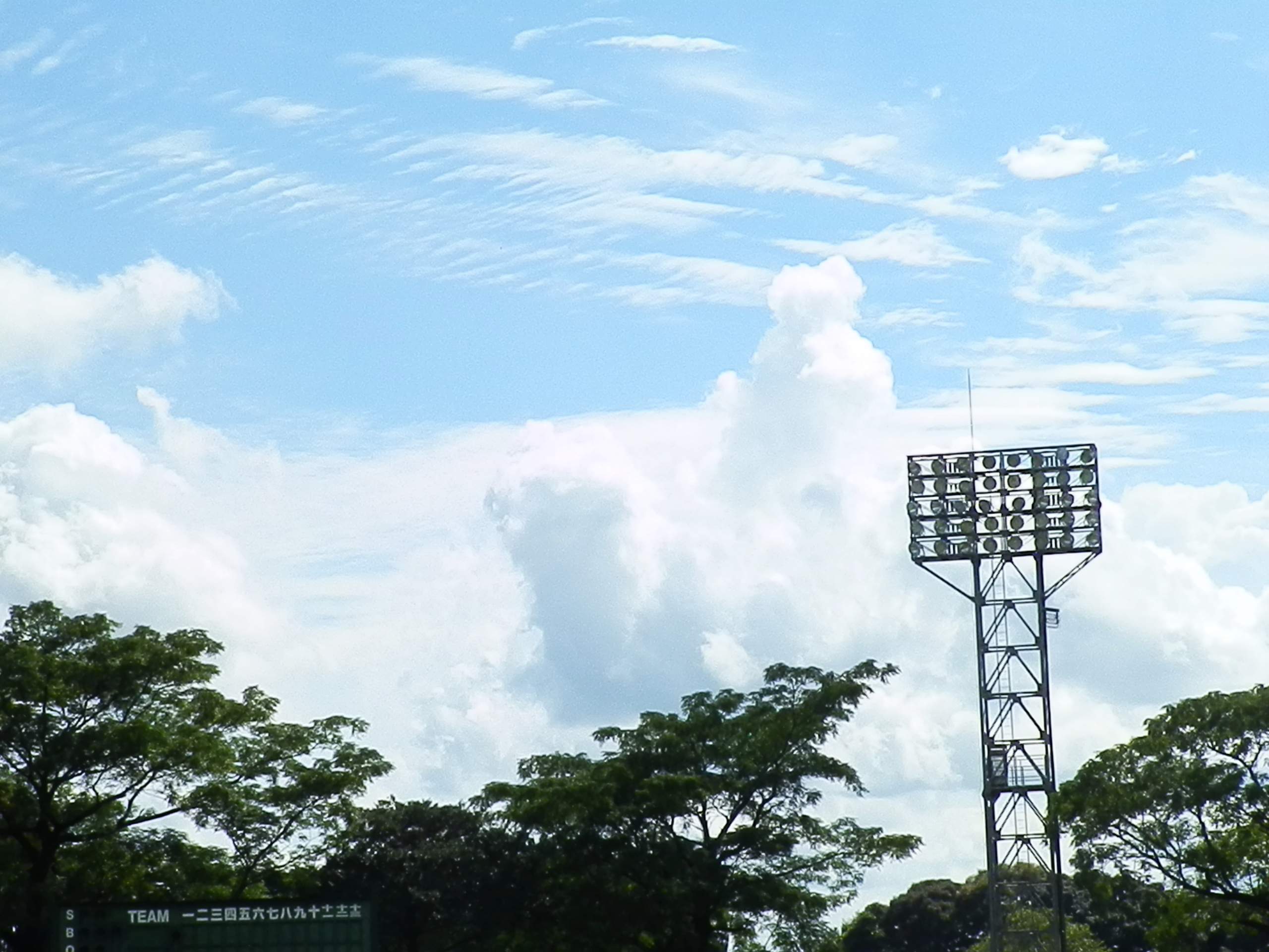 0.jpg