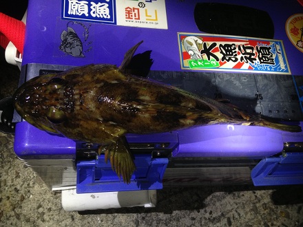 2013042705.jpg