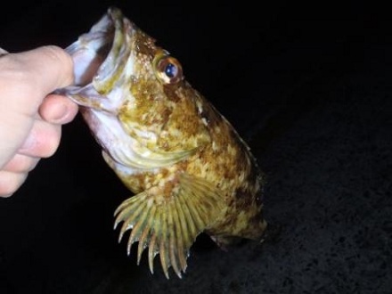 2013042706.jpg
