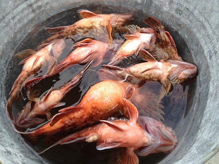 2013052903.jpg