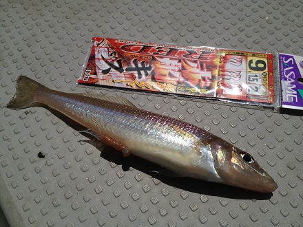 2013052905.jpg