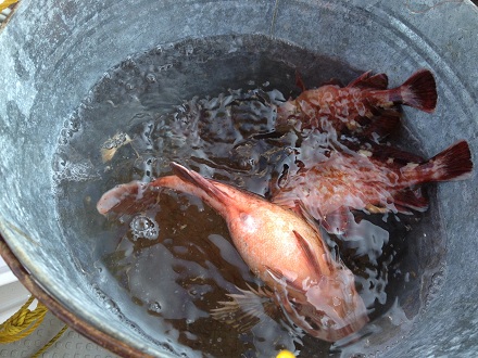 2013052907.jpg