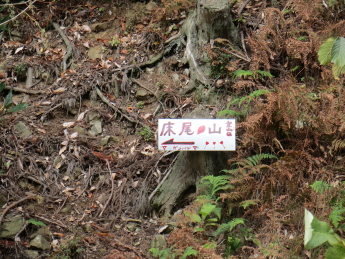 床尾山9