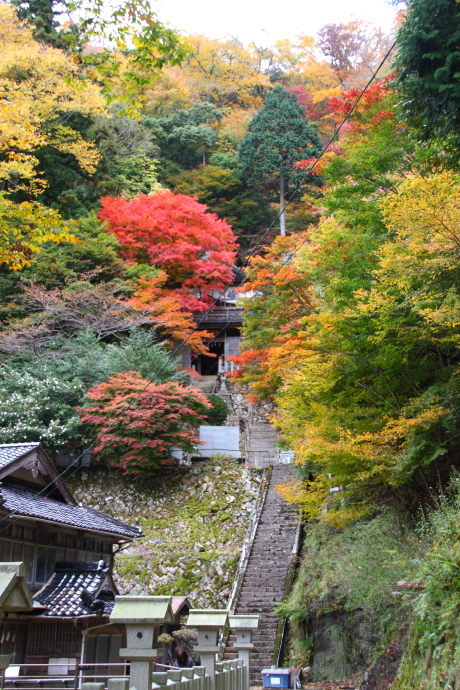 青倉神社5