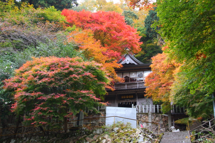 青倉神社6