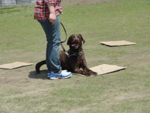 2012042908.jpg