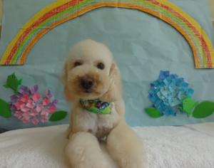 2012052604.jpg