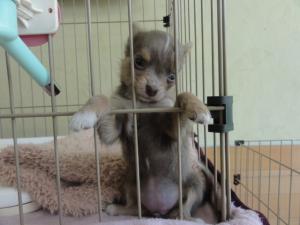 2012062002.jpg