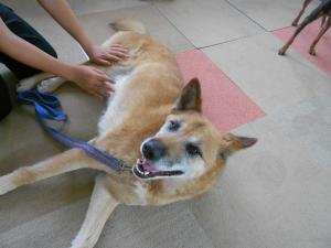 2012080403.jpg