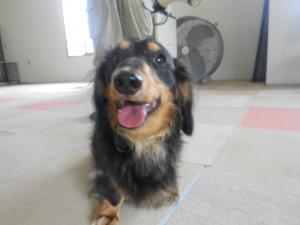 2012080404.jpg