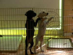 2012080501.jpg