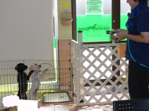 2012080502.jpg