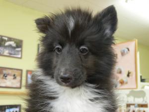 2012092706.jpg