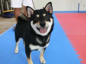 2012100305.jpg