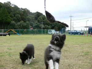 2012102816.jpg