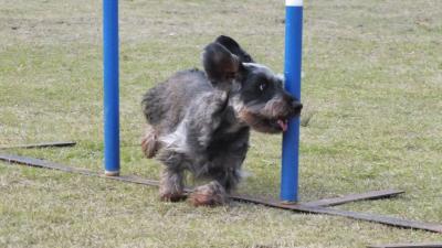 2012110205.jpg