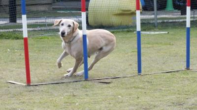 2012110208.jpg