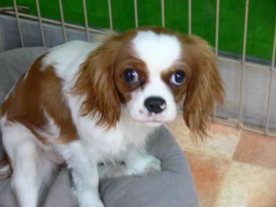 2012122504.jpg