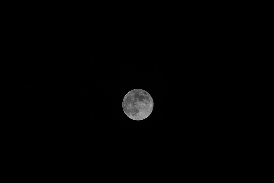 IMG_0009-m_20120930210159.jpg