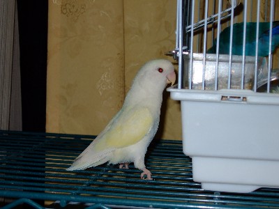 10_20120725103553.jpg