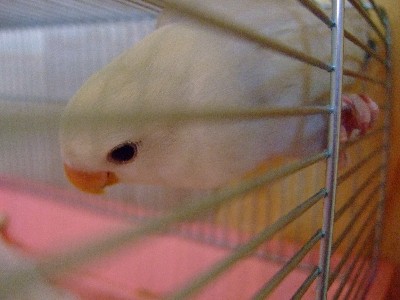 10_20121004154522.jpg