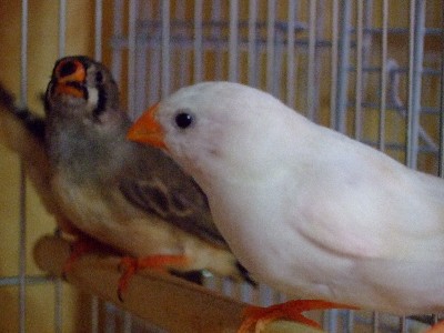 12_20120905143952.jpg