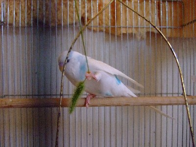 13_20120801115552.jpg