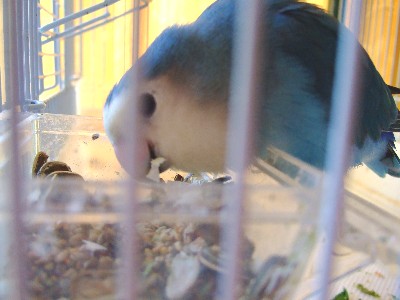 1_20120802140704.jpg