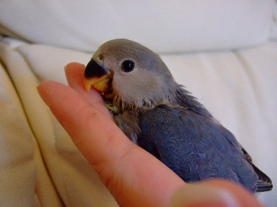 1_20120822234059.jpg