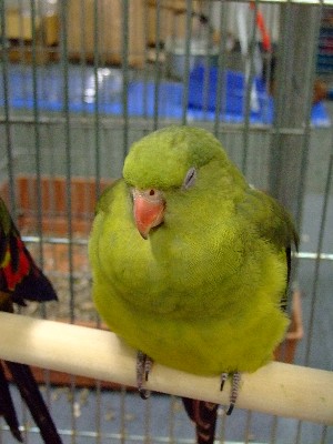 22_20120807182834.jpg
